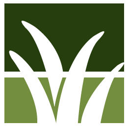 Pine Tree Debris Disposal Pros