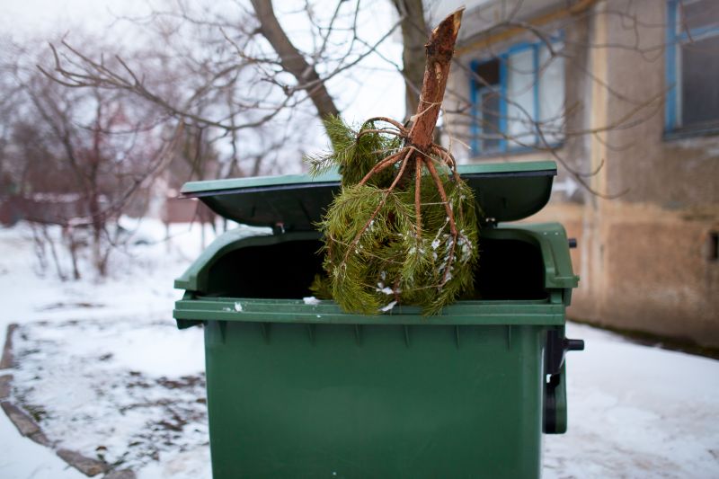 Pine Tree Debris Disposal
