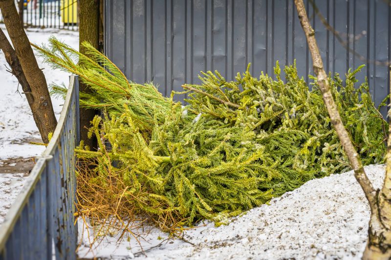 Pine Tree Debris Disposal