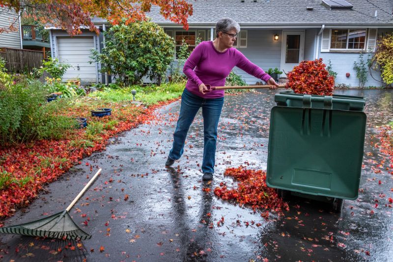 Lawn Care in Autumn