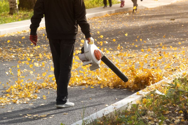 Leaf Blowing for Quick Cleanup