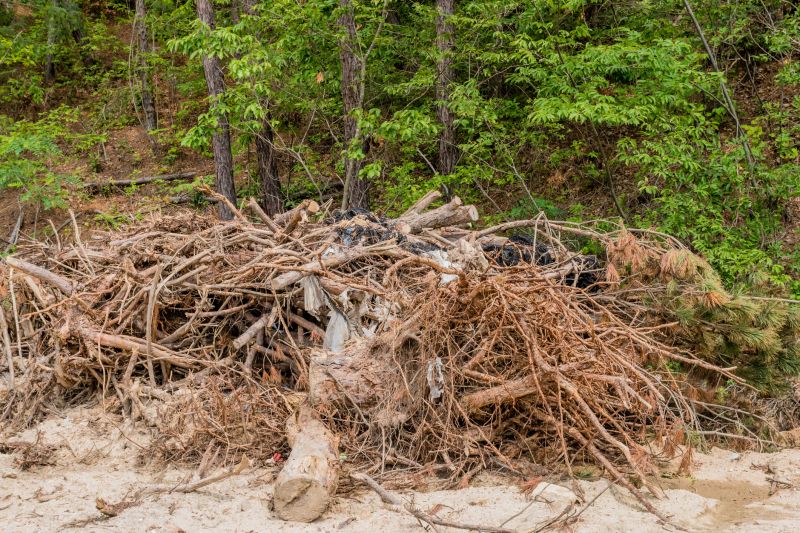 Pine Tree Debris Disposal